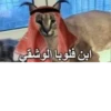 ابن فلوبا الوشقى