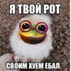SNwiNko_by_achestickbot 10