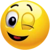 Rudiemoji 6