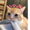 💕 Стики тYт: 11