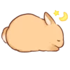 Soft and cute rabbits 11