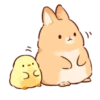 Soft and cute rabbits 12