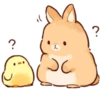 Soft and cute rabbits 13