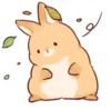 Soft and cute rabbits 15