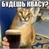 БУДЕШЬ КВАСУ?
