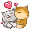 My lovely Pak — 13