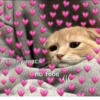 💕 Стики тYт: 15