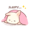 Soft and cute rabbits 16