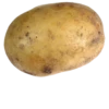 potato 10