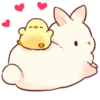 Soft and cute rabbits 18