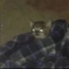 cats don't sleep 17
