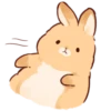 Soft and cute rabbits 19