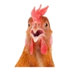 Favorite Sticker by 15