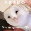 СовYшки 17