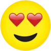 Rudiemoji 12