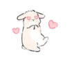 зайки ♡ 18