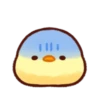 Soft and Cute Chicks Feelings 20