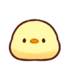 Soft and Cute Chicks Feelings 21