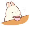 Soft and cute rabbits 21