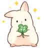 Soft and cute rabbits 22