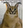 DAMN BRO THATS CRAZY