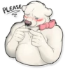 Siku the Bear 18