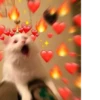 💕 Стики тYт: 23