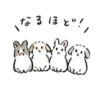 зайки ♡ 25