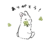 зайки ♡ 26