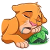 Simba 17