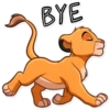 Simba 19