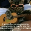 cats don't sleep 26