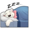Siku the Bear 23
