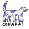 crococow dog 13