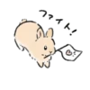 зайки ♡ 29