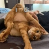cats don't sleep 29