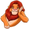 Simba 23