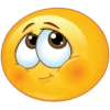 Rudiemoji 29