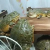 ЛRгYхи от 5