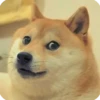 Animals? 6