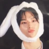 Stray kids y by 5