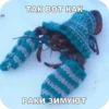 SOskTRi_by_achestickbot 10