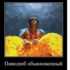 Sodaluvtopsoskaaa :: 10