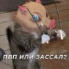ДлR фанатов клинка 👉 14