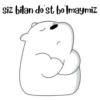 Itsicybear 8