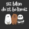 Itsicybear 13