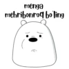 Itsicybear 19