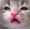 PDdkswRKaChFZjr_by_stickers_stealer_bot 19