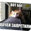 SOskTRi_by_achestickbot 21