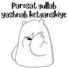 Itsicybear 21